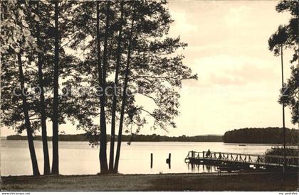 Bad Saarow-Pieskow Schwanenwiese