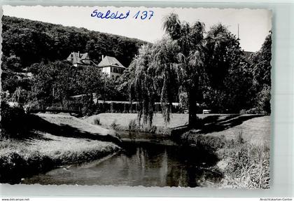 39817863 - Bad Salzdetfurth