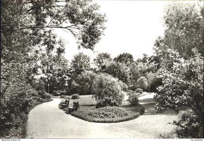 Schmiedeberg Bad Stadtpark