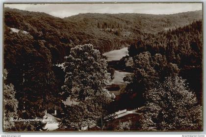 50413568 - Bad Schwalbach