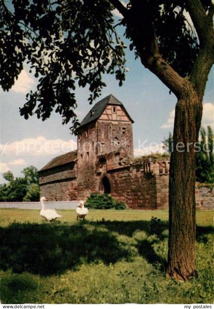 Bad Vilbel Burgruine Brunnen Heimatmuseum