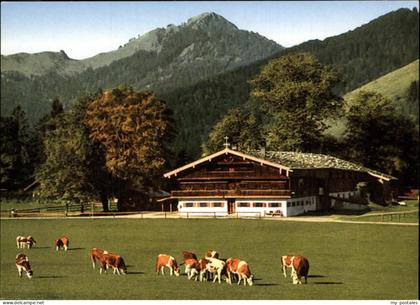 Bad Wiessee ---