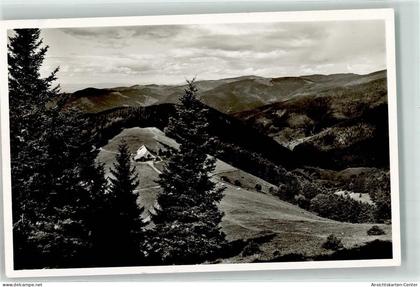 39391128 - Muenstertal , Schwarzwald