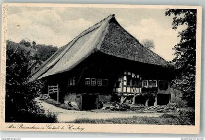 39950352 - Gutach Schwarzwaldbahn