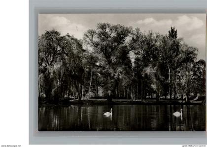 50212876 - Endingen am Kaiserstuhl