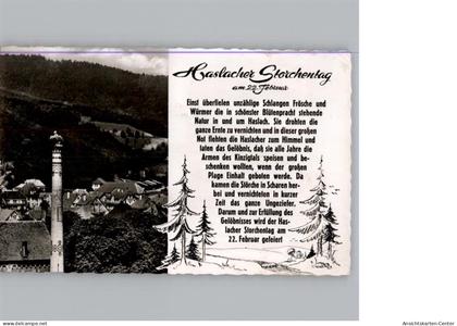 50317498 - Haslach im Kinzigtal