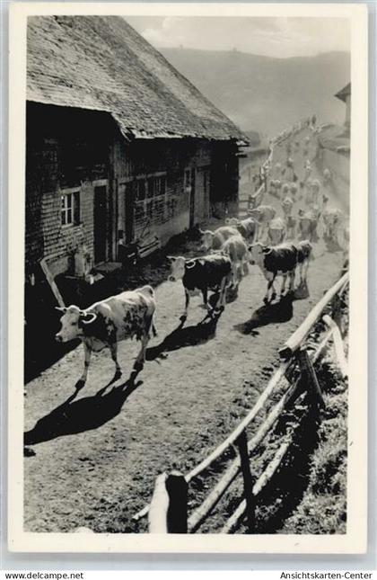 50531791 - Gutach Schwarzwaldbahn