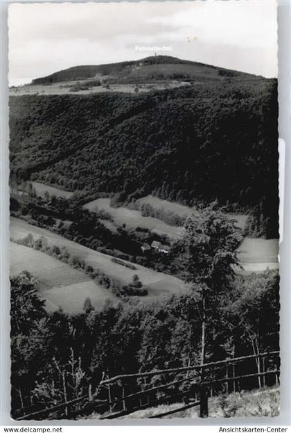 50544267 - Waldbrunn , Odenw