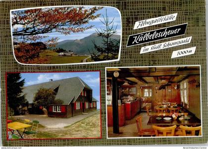 50795539 - Muenstertal , Schwarzwald