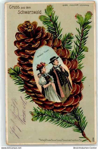 51833165 - Gutach Schwarzwaldbahn