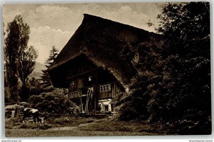 51923636 - Gutach Schwarzwaldbahn