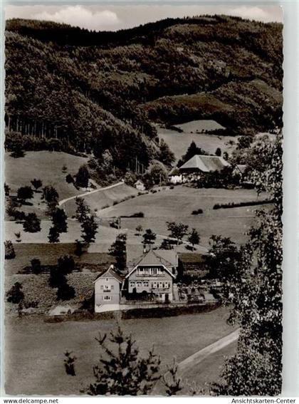 52008134 - Gutach Schwarzwaldbahn