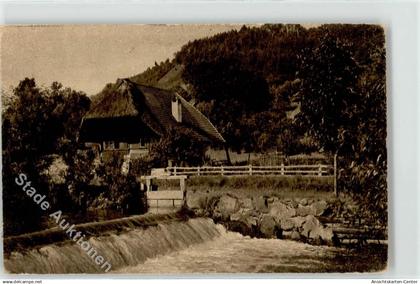 52255284 - Gutach Schwarzwaldbahn