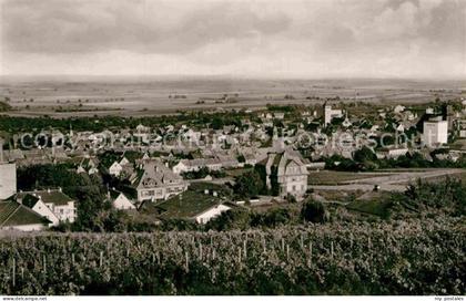 Gruenstadt Panorama
