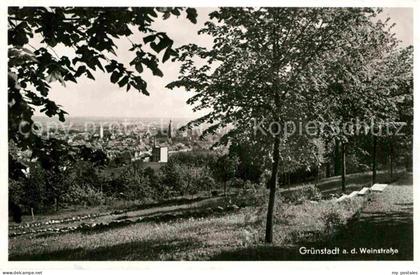 Gruenstadt Panorama
