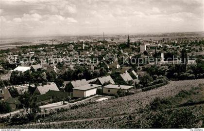 Gruenstadt Panorama