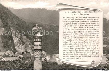 Haslach Kinzigtal Storchentag