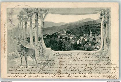 13934086 - Badenweiler