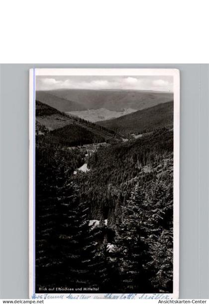 50306802 - Baiersbronn