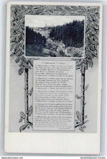 50544733 - Baiersbronn