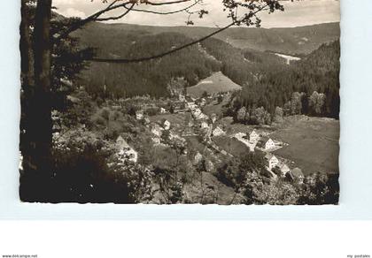 Baiersbronn Schwarzwald Baiersbronn Schoenmuenzach