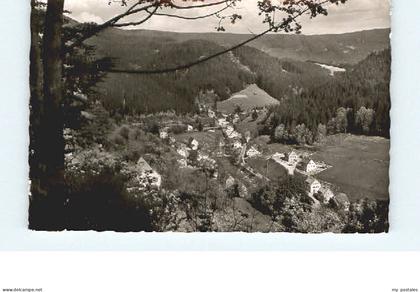 Baiersbronn Schwarzwald Baiersbronn Schoenmuenzach