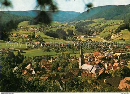 Baiersbronn Schwarzwald Panorama