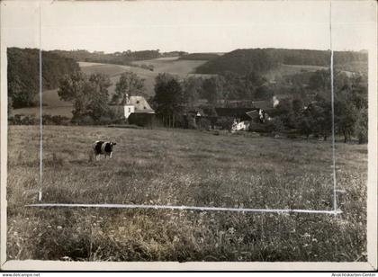 50464010 - Bergisch Gladbach