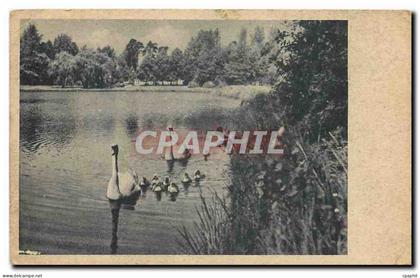 CPA Berlin Hermsdorf am Waldsee