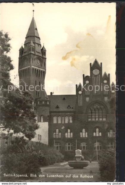 Koepenick Blick vom Luisenhain auf Rathaus