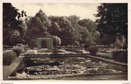 Steglitz Stadtpark Rosengarten