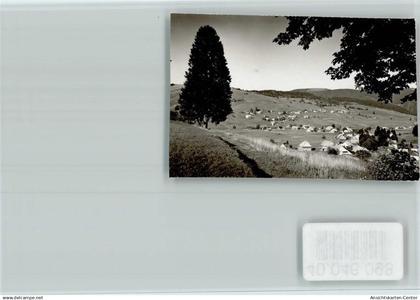 40046098 - Bernau im Schwarzwald, Baden