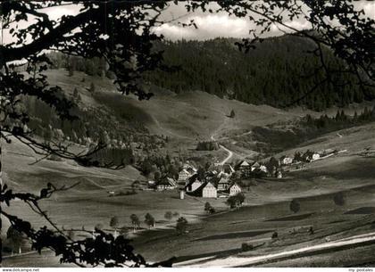 Bernau Schwarzwald Panorama