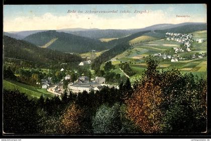 AK Erla im Schwarzwassertal, Panorama, Bernsbach