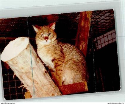 40087468 - Beverungen