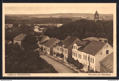 AK Biesenthal, Panorama mit Schlossberg