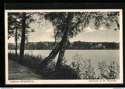 AK Biesenthal, Promenade am Gr. Wuckensee