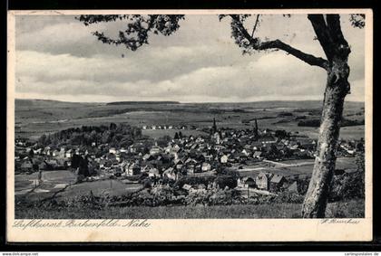 AK Birkenfeld /Nahe, Panoramaansicht des Ortes