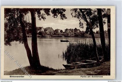51399847 - Birkenwerder