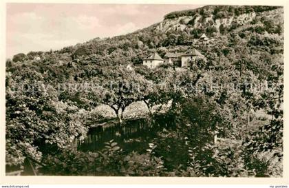 Bleicherode Vogelbergklippen Waldschloesschen