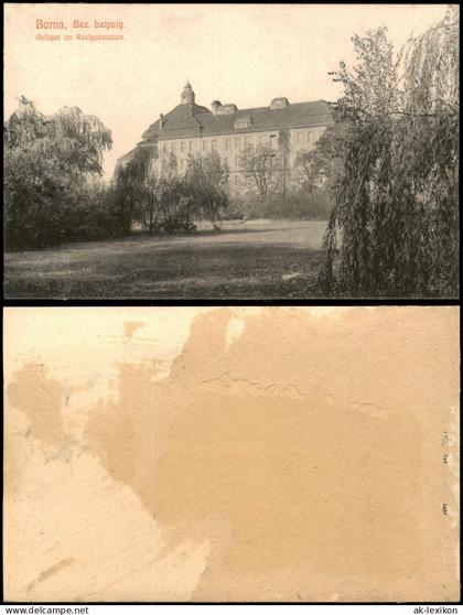 Ansichtskarte Borna Anlagen am Realgymnasium 1918