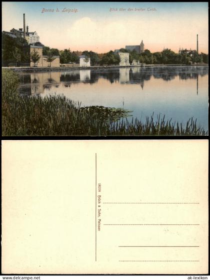 Ansichtskarte Borna Blick über den breiten Teich 1914
