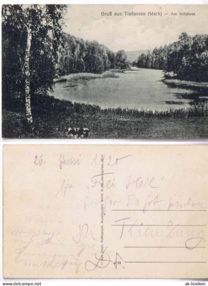 Ansichtskarte Tiefensee-Werneuchen Gruss aus.. - Am Mittelsee (Barnim) 1920