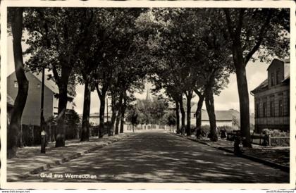 CPA Werneuchen im Kreis Barnim, Straßenpartie, Allee