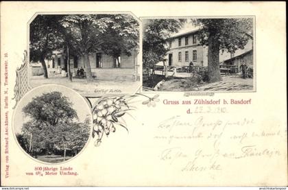 CPA Zühlsdorf Mühlenbecker Land Oberhavel, Gasthof Putlitz, Schneidemühle, 800jährige Linde