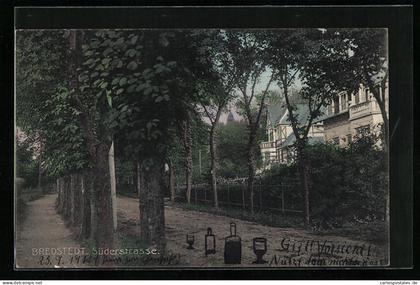 AK Bredstedt, Süderstrasse mit Villen