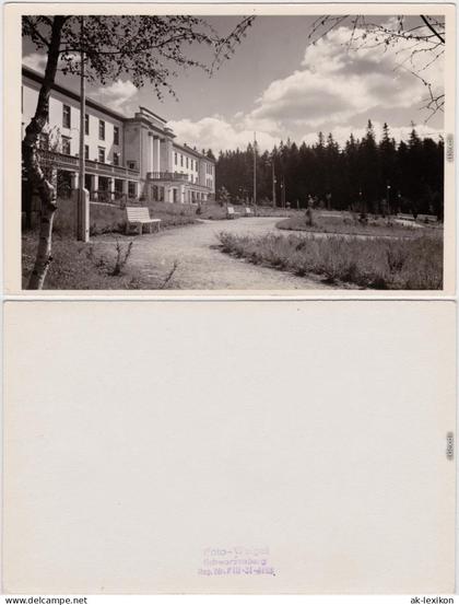 Antonshöhe-Breitenbrunn (Erzgebirge) Kneipp-Sanatorium, Parkbänke 1955