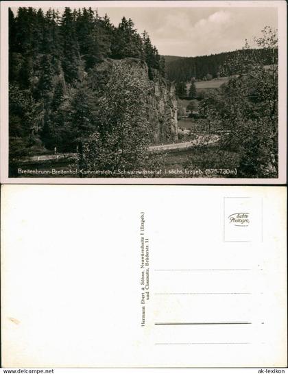 Breitenbrunn (Erzgebirge) Breitenhof Kammerstein Schwarzwassertal 1934
