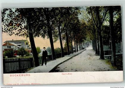 13239719 - Bueckeburg