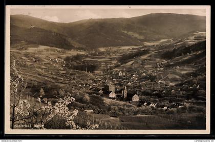 AK Bühlertal, Panoramaansicht